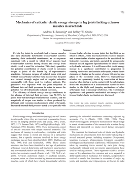 Mechanics of Cuticular Elastic Energy Storage in Leg Joints Lacking Extensor Muscles in Arachnids Andrew T