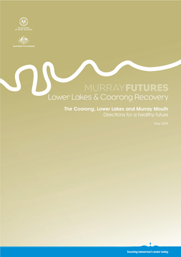 The Coorong, Lower Lakes and Murray Mouth Directions for a Healthy Future