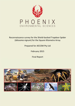 Reconnaissance Survey for the Shield-Backed Trapdoor Spider (Idiosoma Nigrum) for the Square Kilometre Array