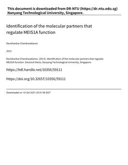 Identification of the Molecular Partners That Regulate MEIS1A Function