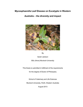 Mycosphaerella Leaf Disease on Eucalypts in Western