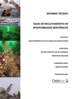 Informe Técnico Tasas De Reclutamiento De