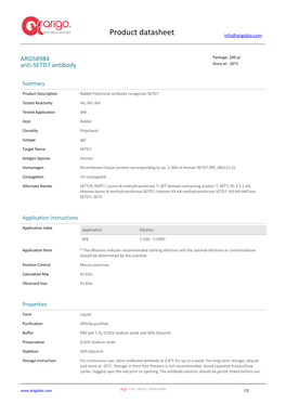 Anti-SETD7 Antibody (ARG58984)