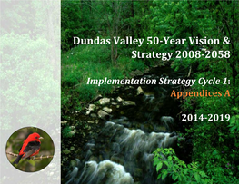 Dundas Valley 50-Year Vision & Strategy 2008-2058