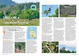 Sri-Lanka-Bird-Watching-Magazine-Uk