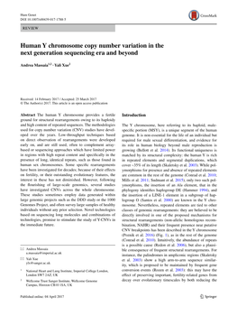 Human Y Chromosome Copy Number Variation in the Next Generation Sequencing Era and Beyond