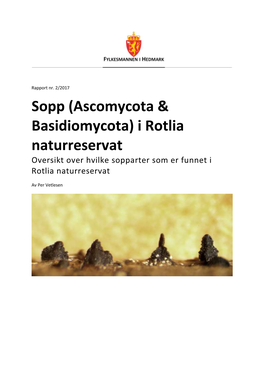 Sopp (Ascomycota & Basidiomycota) I Rotlia Naturreservat Oversikt Over Hvilke Sopparter Som Er Funnet I Rotlia Naturreservat