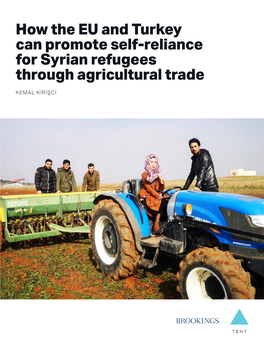 How the EU and Turkey Can Promote Self-Reliance for Syrian Refugees Through Agricultural Trade