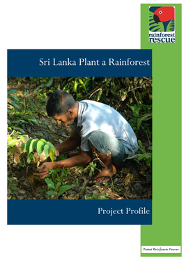 Sri Lanka Plant a Rainforest