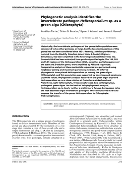 Phylogenetic Analysis Identifies the Invertebrate Pathogen