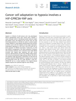 Cancer Cell Adaptation to Hypoxia Involves a HIF‐GPRC5A‐YAP Axis