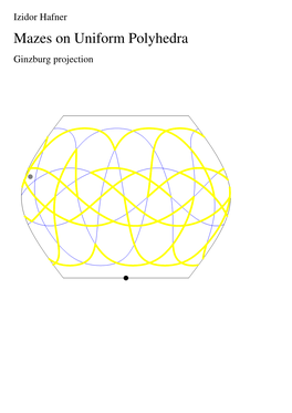 Mazes on Uniform Polyhedra Ginzburg Projection