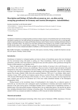 Description and Biology of Euborellia Arcanum Sp. Nov., an Alien Earwig Occupying Greenhouses in Germany and Austria (Dermaptera: Anisolabididae)