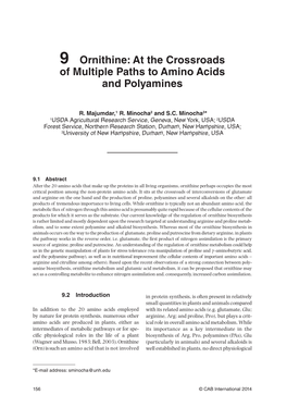 Ornithine: at the Crossroads of Multiple Paths to Amino Acids and Polyamines