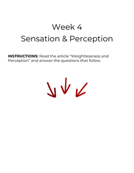Week 4 Sensation & Perception