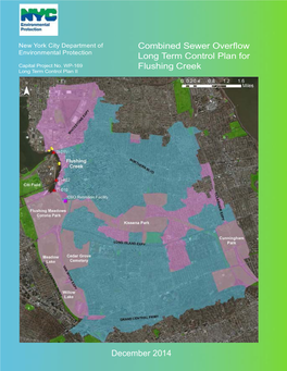 Combined Sewer Overflow Long Term Control Plan for Flushing Creek