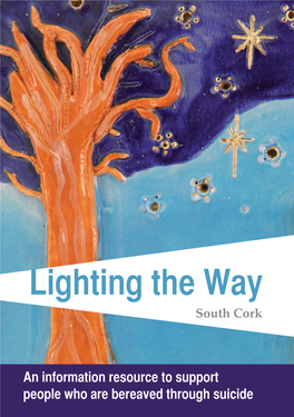 Lighting the Way: South Cork