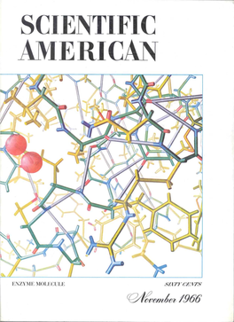 ENZYME MOLECULE /966 the Three-Dimensional Structure of an Enzyme Molecule