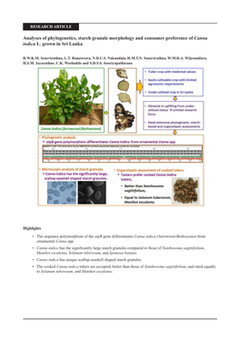 Analyses of Phylogenetics, Starch Granule Morphology and Consumer Preference of Canna Indica L. Grown in Sri Lanka