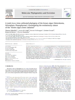 A Multi-Locus Time-Calibrated Phylogeny of the Brown Algae