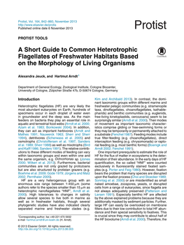 A Short Guide to Common Heterotrophic Flagellates Of