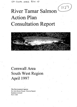 River Tamar Salmon Action Plan Consultation Report