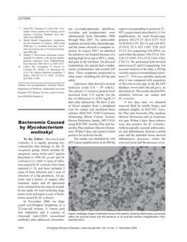 Bacteremia Caused by Mycobacterium Wolinskyi