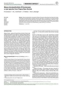 &lt;I&gt;Maesa Brevipedicellata&lt;/I&gt; (&lt;I&gt;Primulaceae&lt;/I&gt;), a New Species from Papua New Guinea