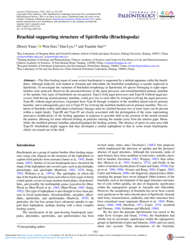 Brachial Supporting Structure of Spiriferida (Brachiopoda)