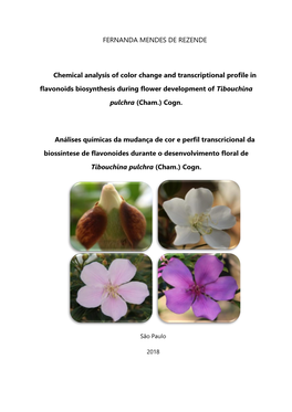 FERNANDA MENDES DE REZENDE Chemical Analysis of Color Change and Transcriptional Profile in Flavonoids Biosynthesis During Flowe