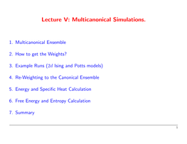 Multicanonical Simulations