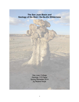 Geology of the Bisti / De-Na-Zin Wilderness