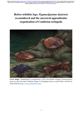 Pygmaclypeatus Daziensis Reconsidered and the Ancestral Appendicular Organization of Cambrian Artiopods