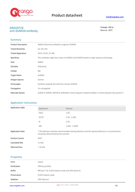 Anti-SUMO4 Antibody (ARG59719)