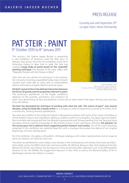 PAT STEIR : PAINT 9Th October 2010 to 8Th January 2011