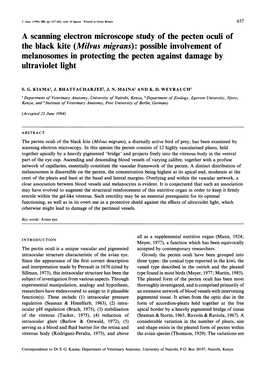 The Black Kite (Milvus Migrans): Possible Involvement of Melanosomes in Protecting the Pecten Against Damage by Ultraviolet Light