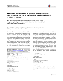 Functional Polymorphism in Lycopene Beta-Cyclase Gene As a Molecular Marker to Predict Bixin Production in Bixa Orellana L