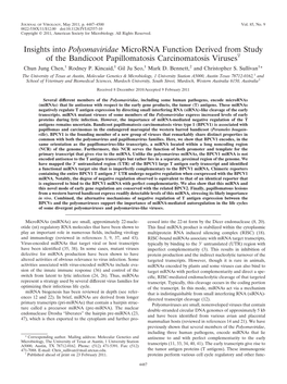 Insights Into Polyomaviridae Microrna Function Derived from Study of the Bandicoot Papillomatosis Carcinomatosis Virusesᰔ Chun Jung Chen,1 Rodney P