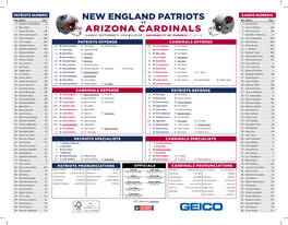 New England Patriots Arizona Cardinals