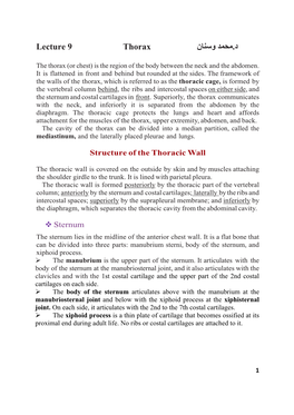 Lecture 9 Thorax ﻣﺣﻣد وﺳﻧﺎن د