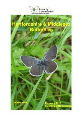 Hertfordshire & Middlesex Butterflies