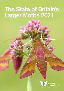 The State of Britain's Larger Moths 2021