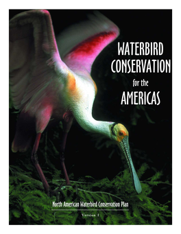 North American Waterbird Conservation Plan