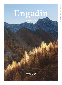 Engadin WOOD MAGAZIN N 4  