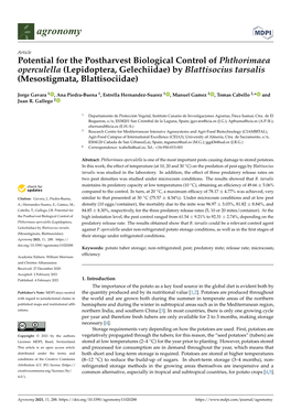 Potential for the Postharvest Biological Control of Phthorimaea Operculella (Lepidoptera, Gelechiidae) by Blattisocius Tarsalis (Mesostigmata, Blattisociidae)