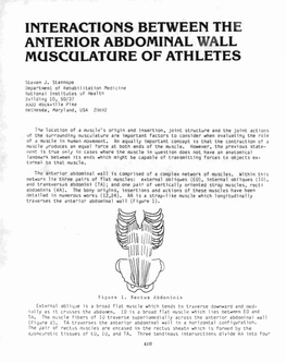 Interactions Between Th Anterior Abdominal Wall Musculature of Athletes