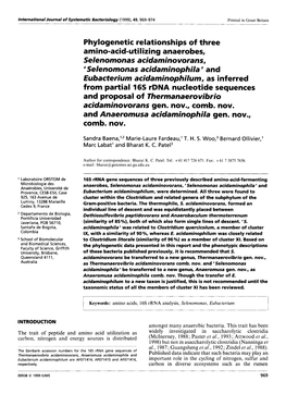 Phylogenetic Relationships of Three Amino-Acid-Util Izing Anaerobes