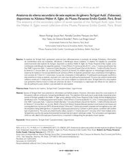 Anatomia Do Xilema Secundário De Sete Espécies Do Gênero Tachigali Aubl. (Fabaceae), Disponíveis Na Xiloteca Walter A. Egler