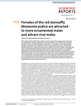 Females of the Red Damselfly Mnesarete Pudica Are Attracted To