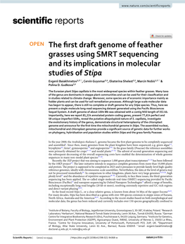 The First Draft Genome of Feather Grasses Using SMRT